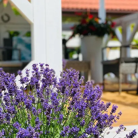 Dworek W Skibnie Vakantieboerderij *