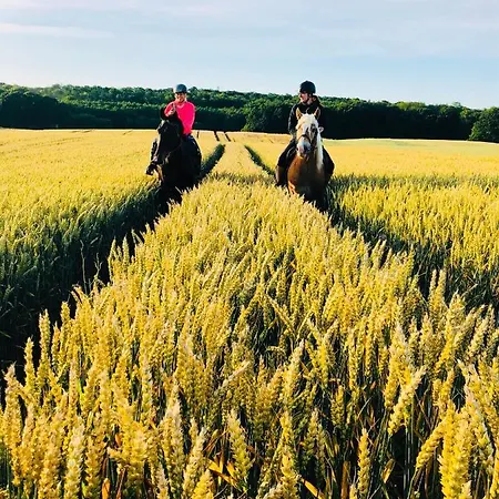 Dworek W Skibnie Gospodarstwo agroturystyczne