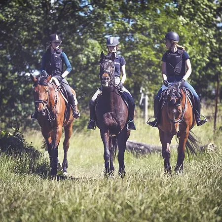 Dworek W Skibnie * Sianow