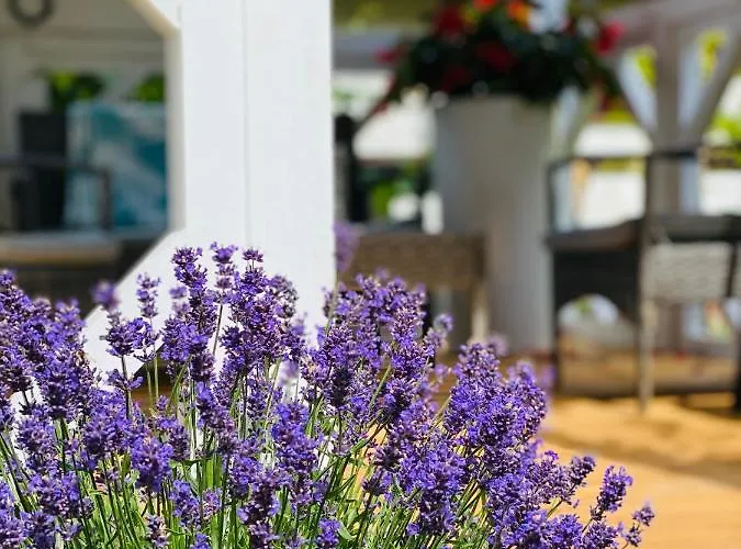 Dworek W Skibnie ファームステイ *