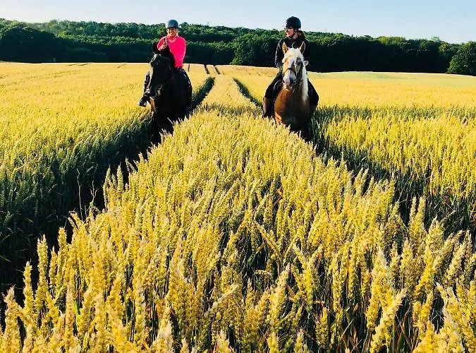 Dworek W Skibnie ファームステイ